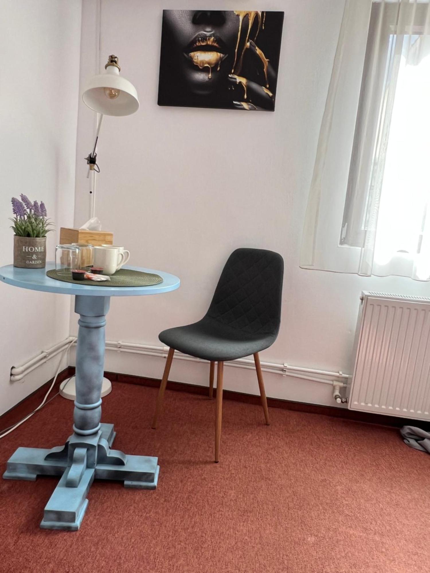 Old Vintage Villa Braşov Eksteriør billede